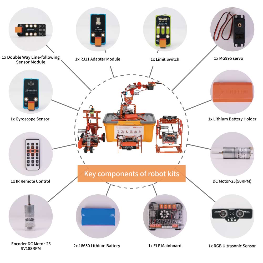Advanced Multi-model Diy Progr - Science Project Diy review and price