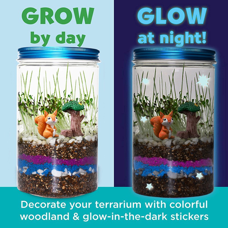 Indoor Planting Children's Fun - Science Nursery review and price