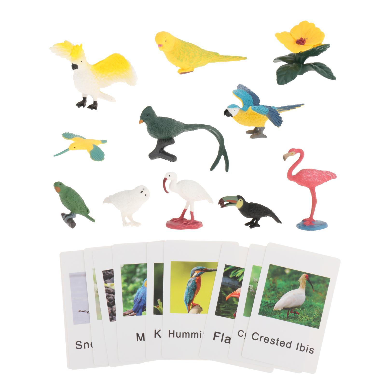 Montessori Animal Figures with - Science Nature review and price
