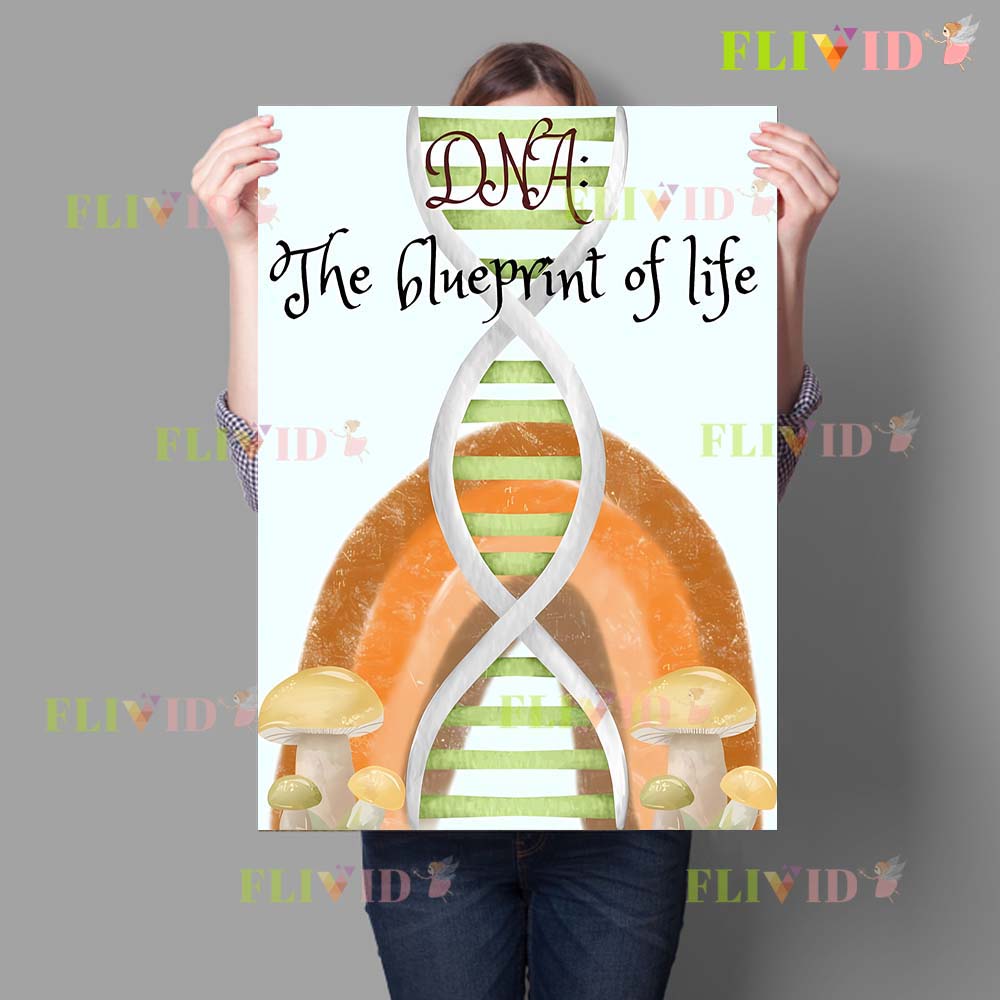 Nursery Cell Biology Science C - Science Nursery review and price