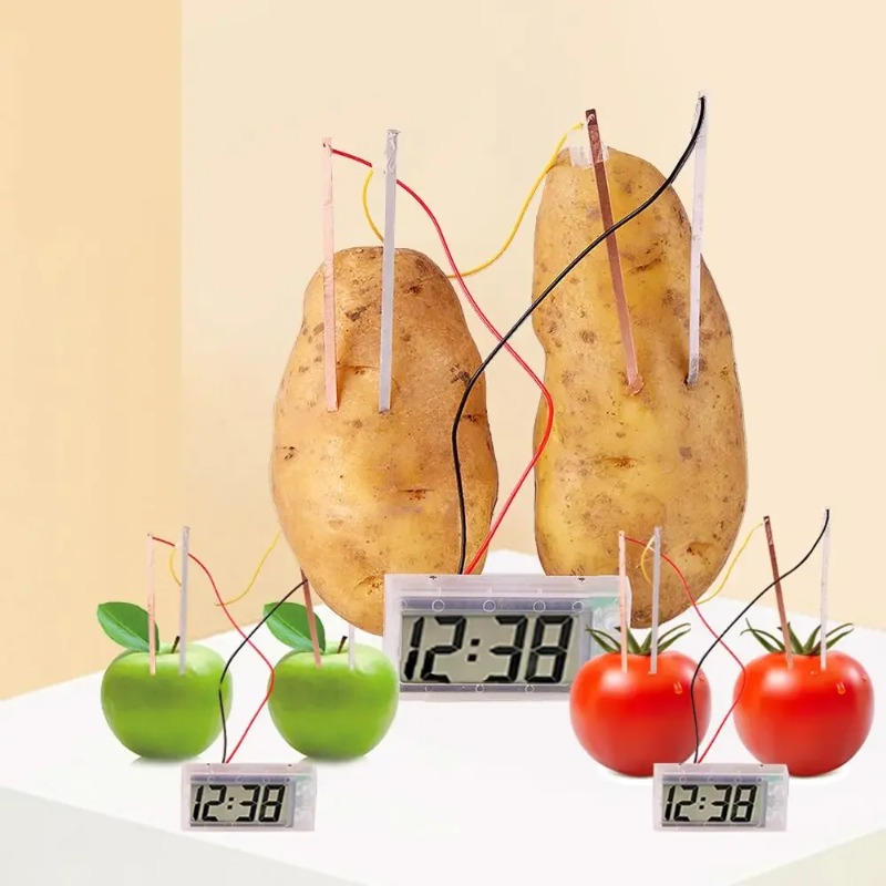 New Kid Montessori Toy Fruit P - Science Nature review and price