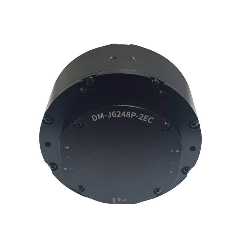 DAMIAO DM-J6248P-2EC Industria - Robot Arm Motor review and price